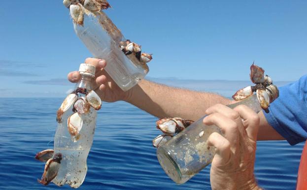 Basura en los mares.