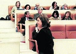 María José Saenz de Buruaga, consejera de Sanidad y Servicios Sociales, ayer en el Parlamento. / Sé Quintana/
