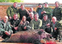 Cuadrilla 126, con un jabalí de 140 kilos abatido en Palencia. / DM/