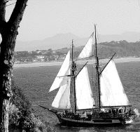 La goleta fletada, una sensatez del Gobierno de Cantabria