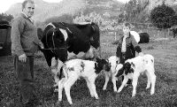 José Ortiz y su hijo Abel posan junto al jato y las dos jatas de la vaca 'Carmina'. / DM/