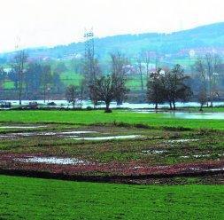 La Llama, con el parque de Cabárceno al fondo. / DM/