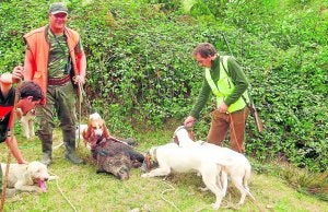 Los monteros y sus perros comenzarán a batir los montes cántabros el próximo domingo. / DM/
