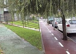 Árboles y farolas ocupan parte del carril bici, al que los vecinos acceden directamente desde sus casas. :: DM/