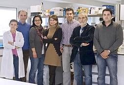 El grupo de investigación. De izquierda a derecha, María Teresa Berciano, Miguel Lafarga, Patricia Ruiz, Lorena Nogueira, José Luis Fernández Luna, Alfonso Vázquez-Barquero e Íñigo Casafont. ::/