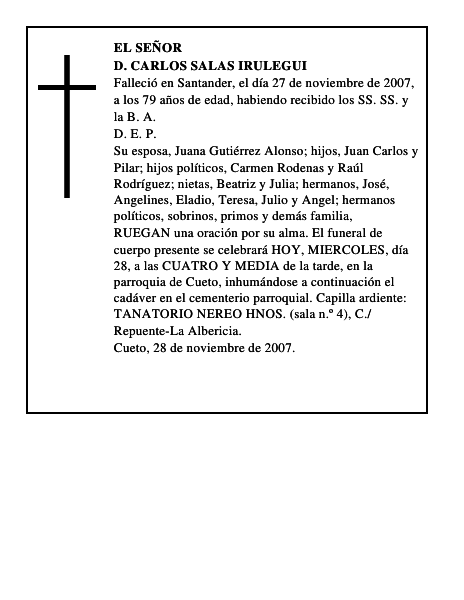 D. CARLOS SALAS IRULEGUI