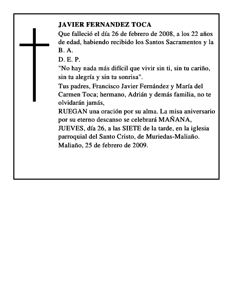 JAVIER FERNANDEZ TOCA