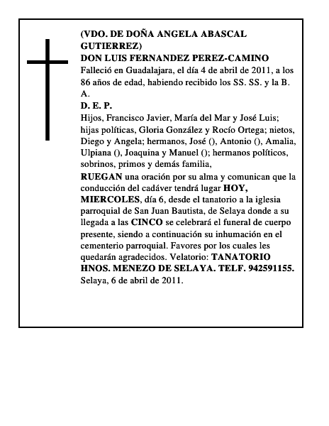 DON LUIS FERNANDEZ PEREZ-CAMINO