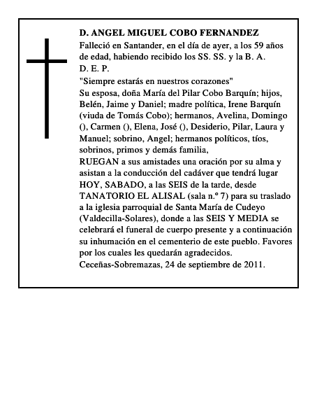 D. ANGEL MIGUEL COBO FERNANDEZ