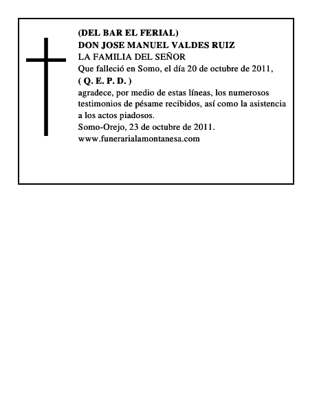 DON JOSE MANUEL VALDES RUIZ