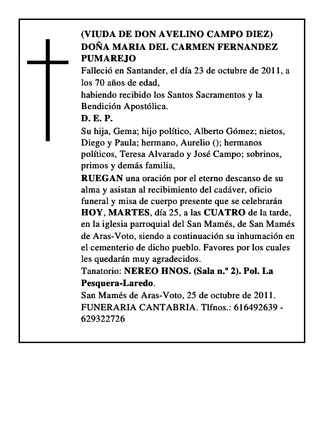DOÑA MARIA DEL CARMEN FERNANDEZ PUMAREJO