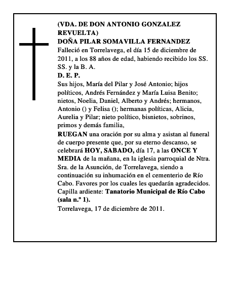 DOÑA PILAR SOMAVILLA FERNANDEZ