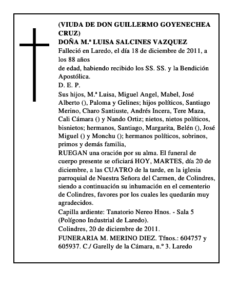 DOÑA M.ª LUISA SALCINES VAZQUEZ