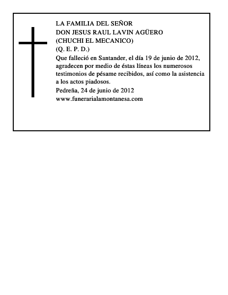 JESUS RAUL LAVIN AGÜERO