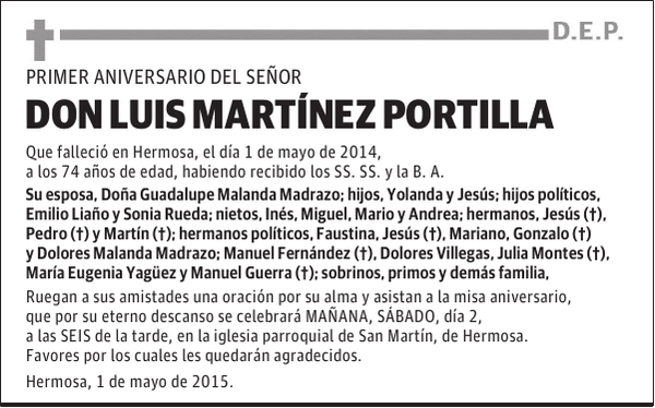 LUIS MARTÍNEZ PORTILLA