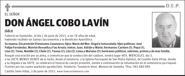 Ángel Cobo Lavín