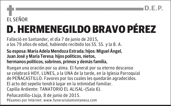 Hermenegildo Bravo Pérez