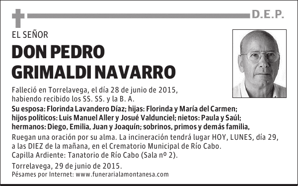Pedro Grimaldi Navarro