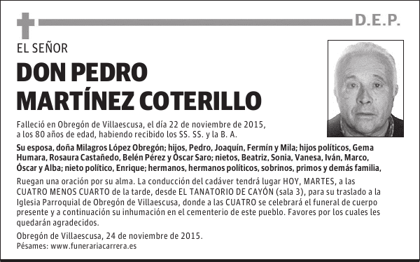 DON PEDRO MARTINEZ COTERILLO