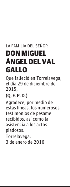 Miguel Ángel del Val Gallo