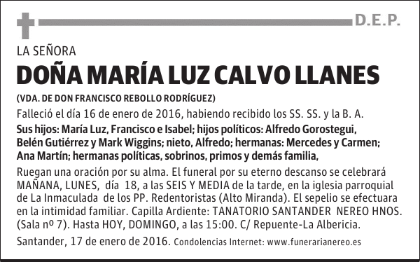 MARIA LUZ CALVO LLANES