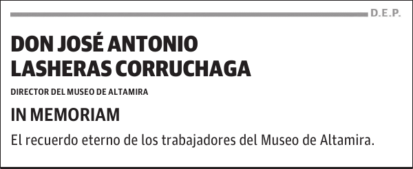 D. JOSÉ ANTONIO LASHERAS CORRUCHAGA