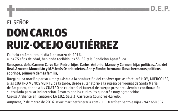 Don CARLOS RUIZ-OCEJO GUTIÉRREZ