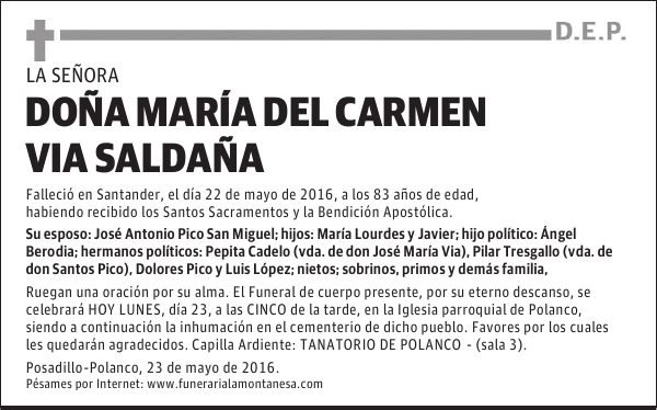 DOÑA MARÍA DEL CARMEN VIA SALDAÑA