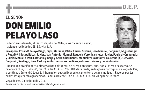 Don Emilio Pelayo Laso