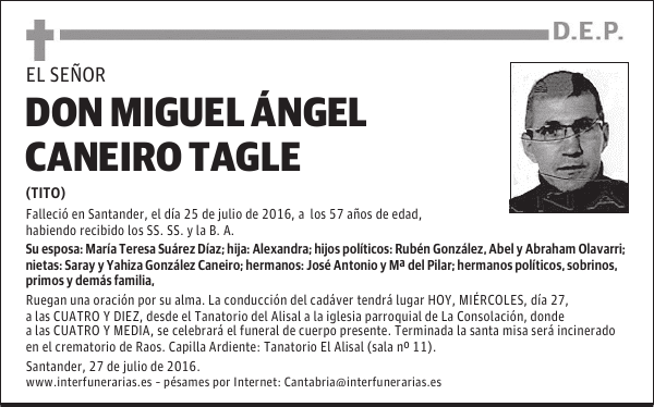 D. MIGUEL ÁNGEL CANEIRO TAGLE