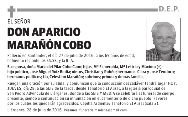 D APARICIO MARAÑÓN COBO