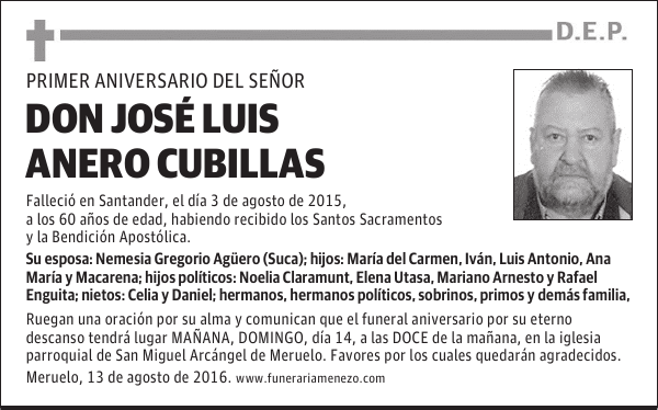 Don José Luis Anero Cubillas