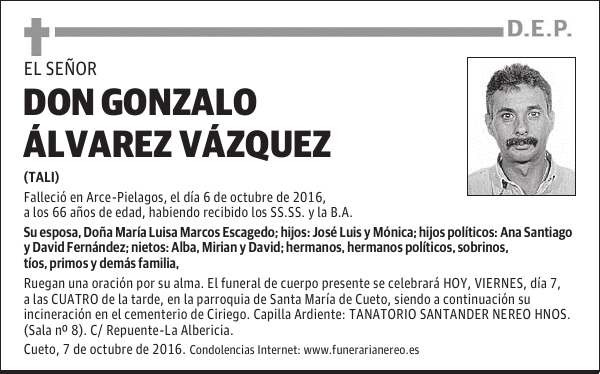 DON GONZALO ALVAREZ VAZQUEZ