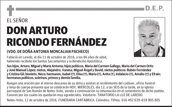 D. ARTURO RICONDO FERNANDEZ