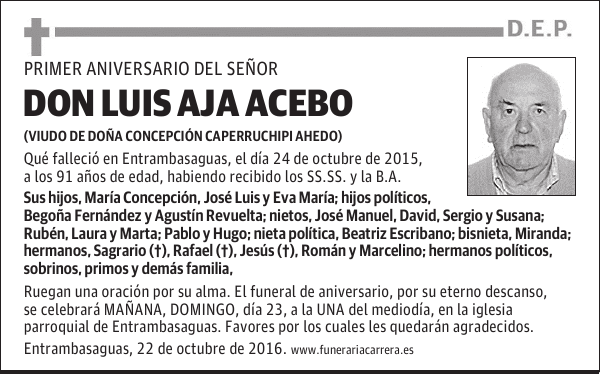 DON LUIS AJA ACEBO