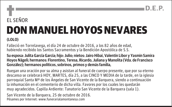 D. MANUEL HOYOS NEVARES