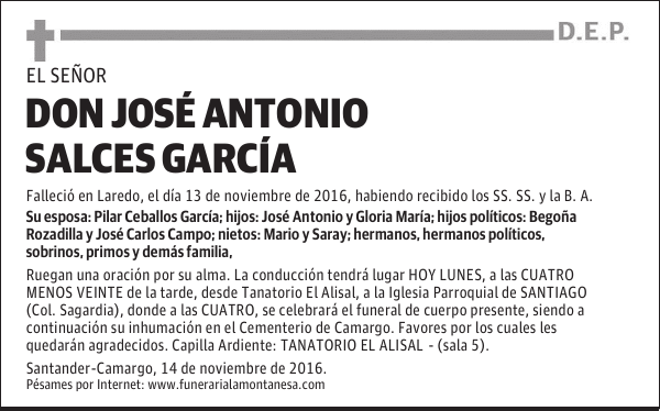 DON JOSÉ ANTONIO SALCES GARCÍA