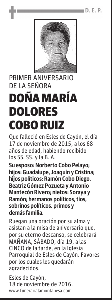 DOÑA MARÍA DOLORES COBO RUIZ