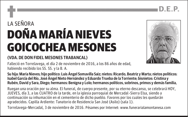 Doña María Nieves Goicochea Mesones