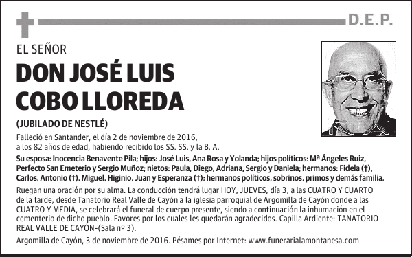 DON JOSE LUIS COBO LLOREDA