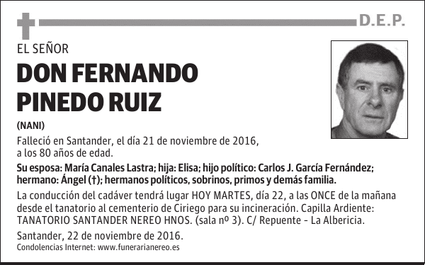 DON FERNANDO PINEDO RUIZ