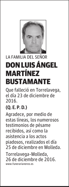 DON LUIS ÁNGEL MARTÍNEZ BUSTAMANTE