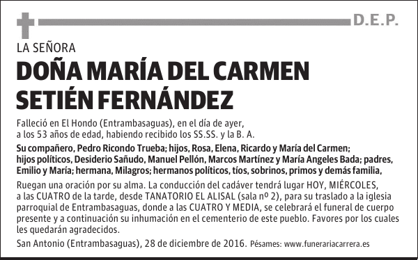 DOÑA MARÍA DEL CARMEN SETIEN FERNANDEZ