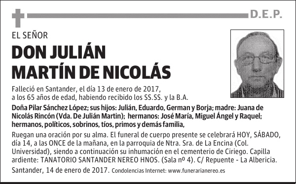 DON JULIAN MARTIN DE NICOLAS