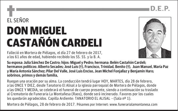 DON MIGUEL CASTAÑÓN CARDELI