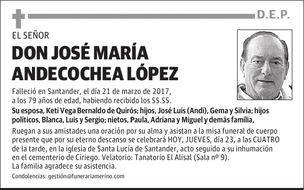 D. JOSÉ MARÍA ANDECOCHEA LÓPEZ