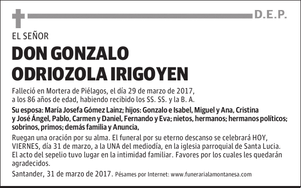 DON GONZALO ODRIOZOLA IRIGOYEN