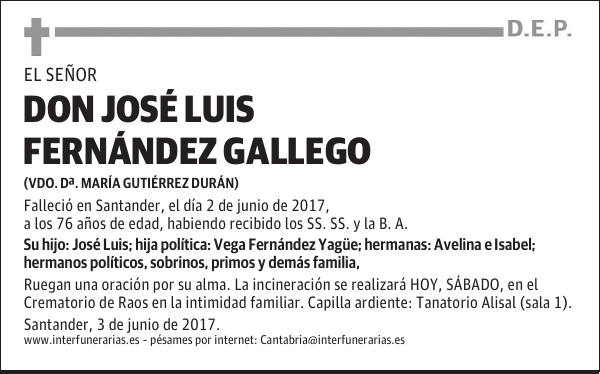 D. JOSÉ LUIS FERNÁNDEZ GALLEGO