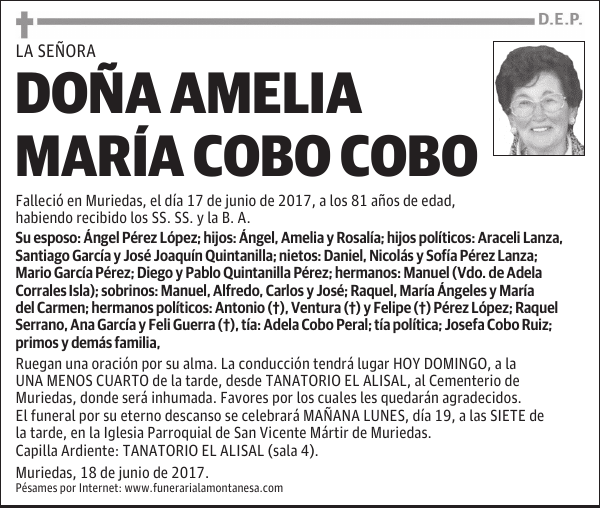 DOÑA AMELIA MARÍA COBO COBO