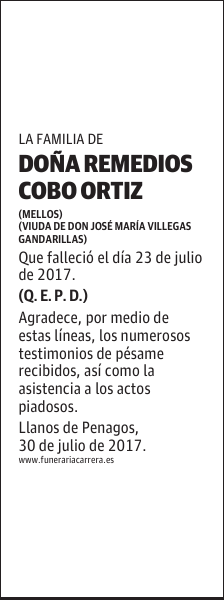DOÑA REMEDIOS COBO ORTIZ